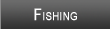 Neely Henry Lake Fishing